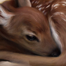 Deer Painting 3